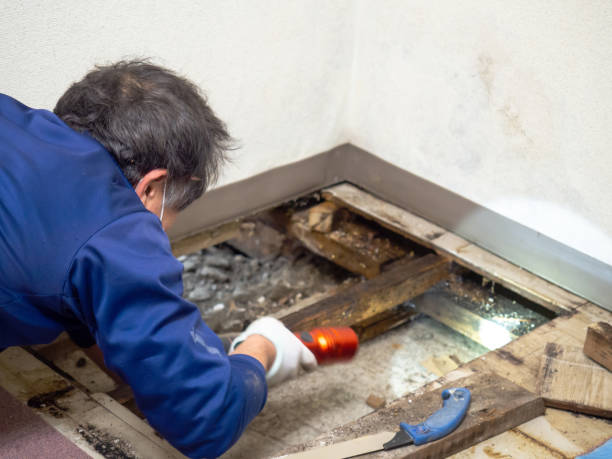 Best Mold Testing and Inspection Services in Ritzville, WA