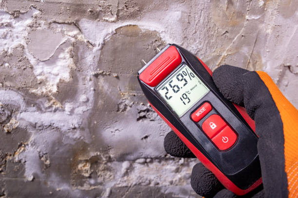 Best Emergency Mold Remediation in Ritzville, WA