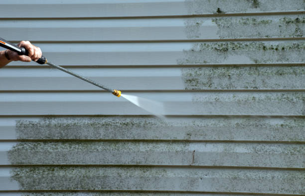 Best Localized Mold Remediation (e.g., coastal areas, humid climates) in Ritzville, WA
