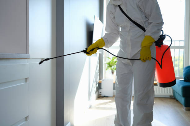 Best Attic Mold Remediation in Ritzville, WA