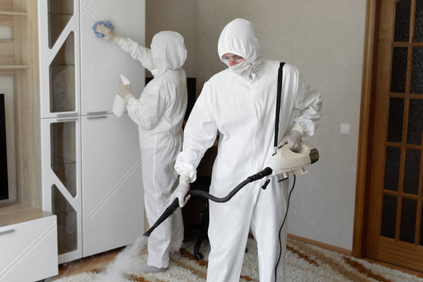Professional Mold Remediation in Ritzville, WA
