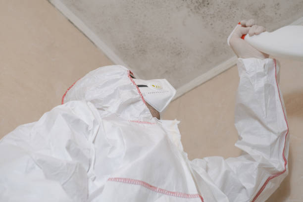 Best White Mold Remediation in Ritzville, WA