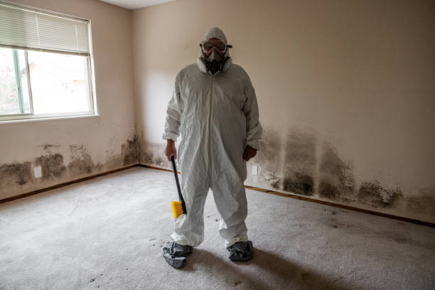 Best Insurance-Related Mold Remediation in Ritzville, WA